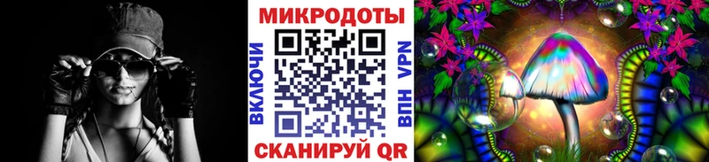 купить наркотики цена  Нерюнгри  Псилоцибиновые грибы ЛСД 